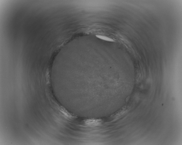 X0000075920465200609291829