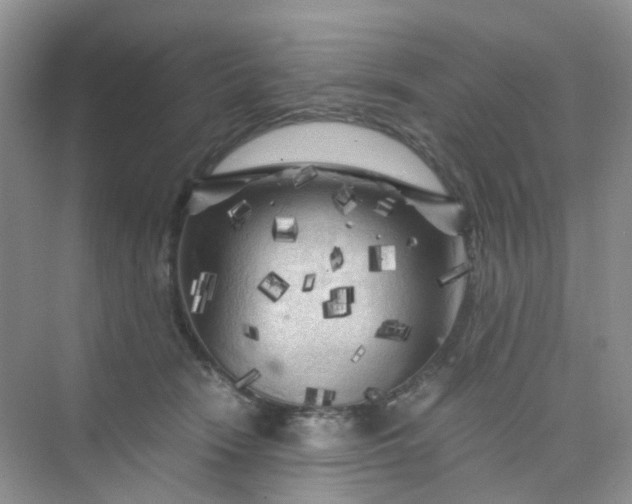 X0000075920466200609291829