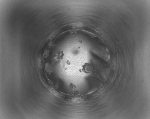 X0000075920468200609291829