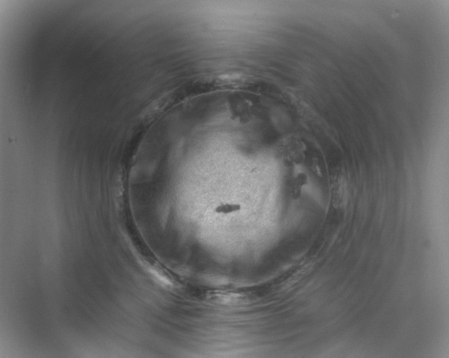 X0000075920472200609291829