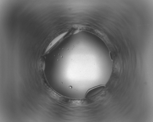 X0000075920473200609291829