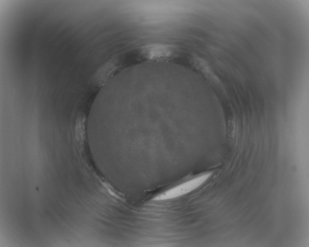 X0000075920475200609291829