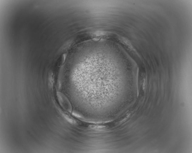 X0000075920476200609291829