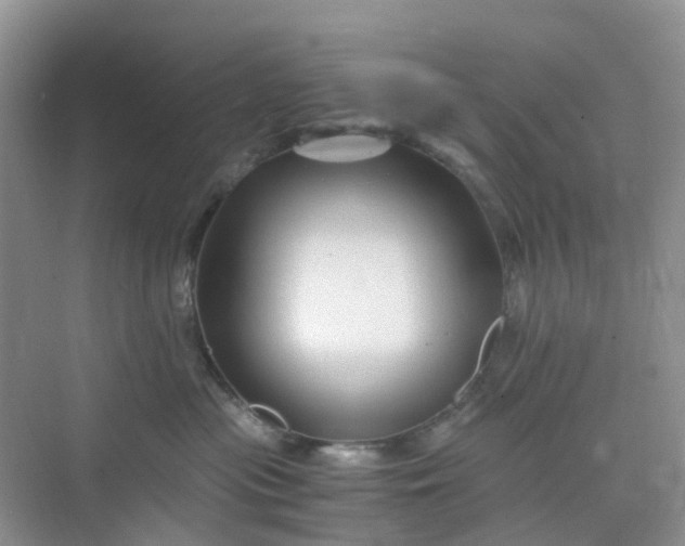 X0000075920477200609291829