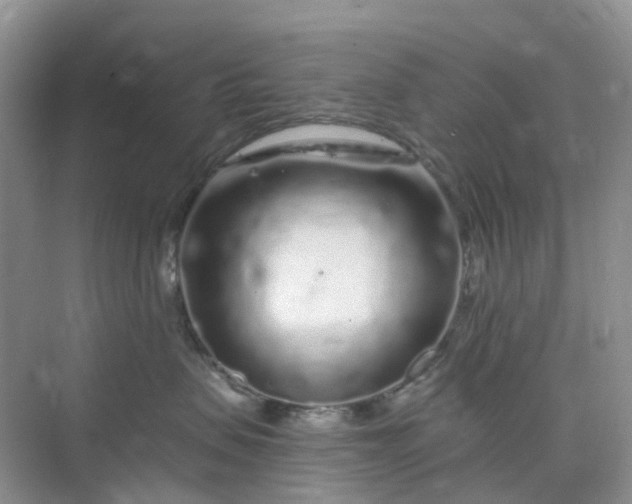 X0000075920479200609291829