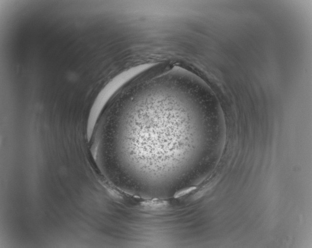 X0000075920480200609291829