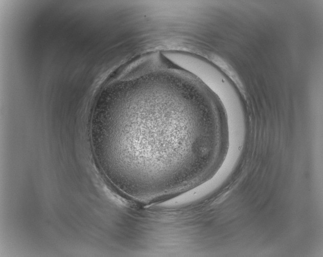 X0000075920481200609291828