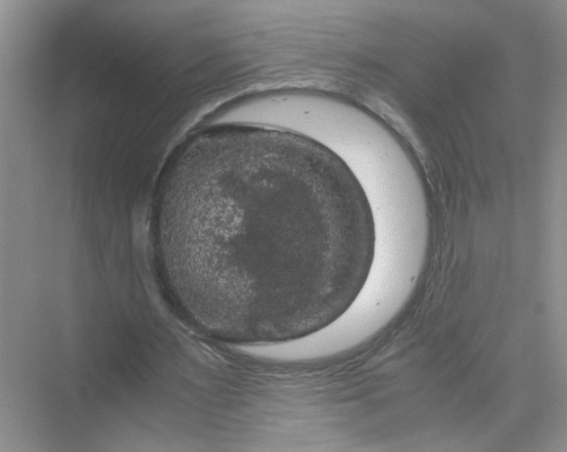 X0000075920483200609291828