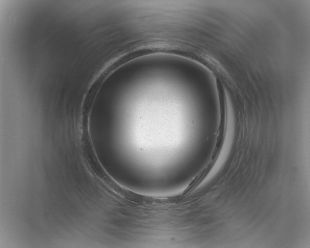 X0000075920484200609291828