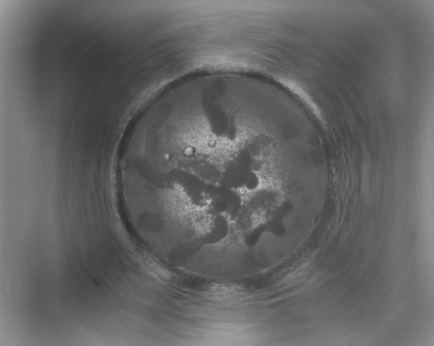 X0000075920487200609291828