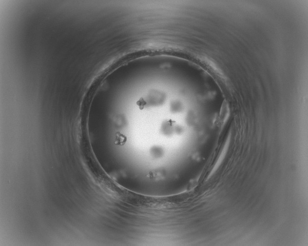 X0000075920488200609291828