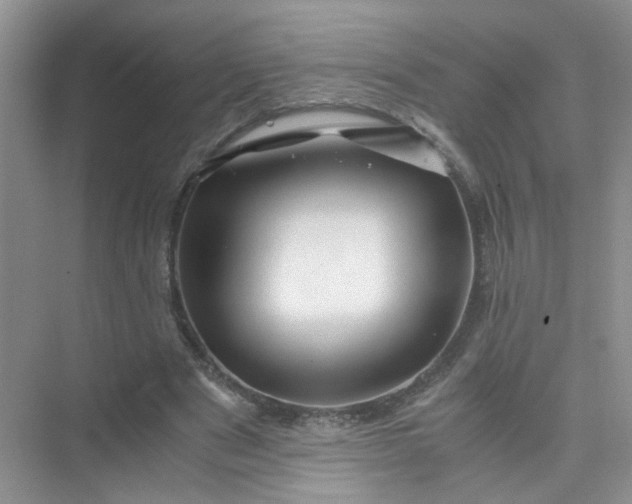 X0000075920489200609291828