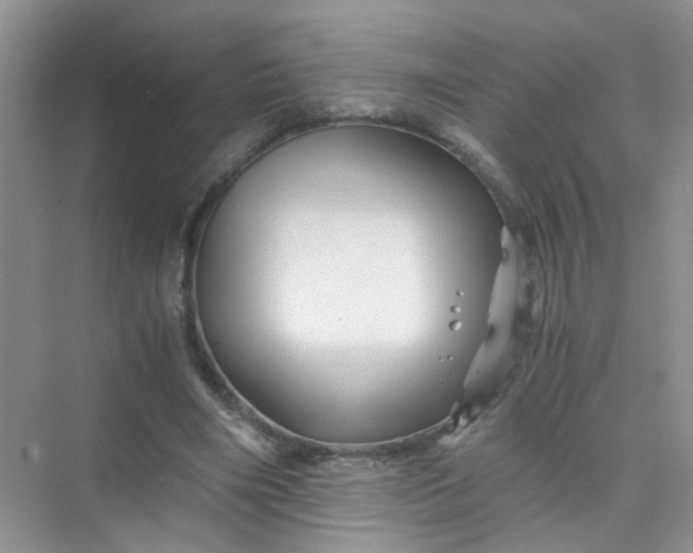 X0000075920490200609291828