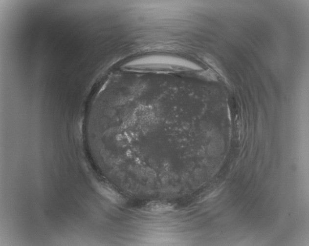 X0000075920491200609291828