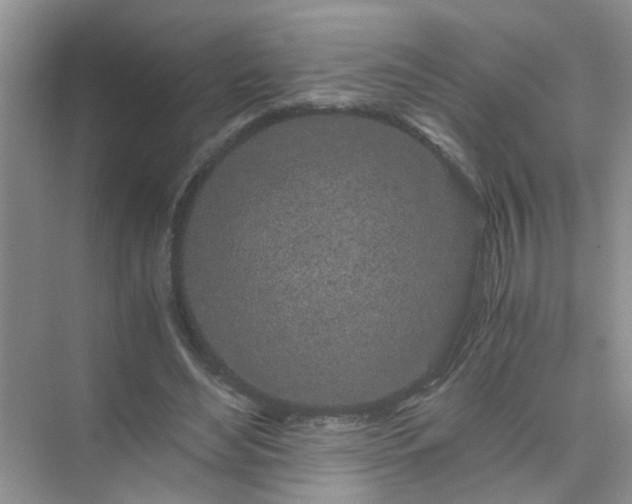 X0000075920492200609291828