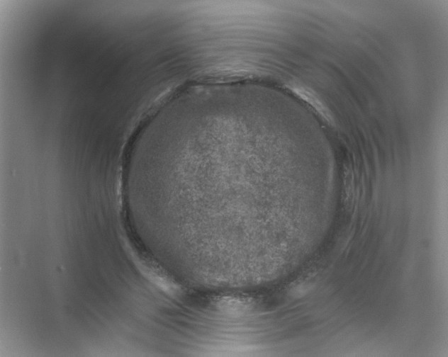 X0000075920494200609291828