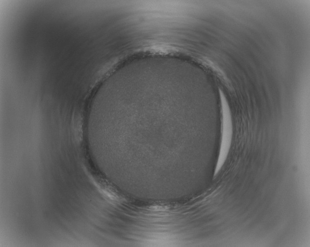 X0000075920496200609291828