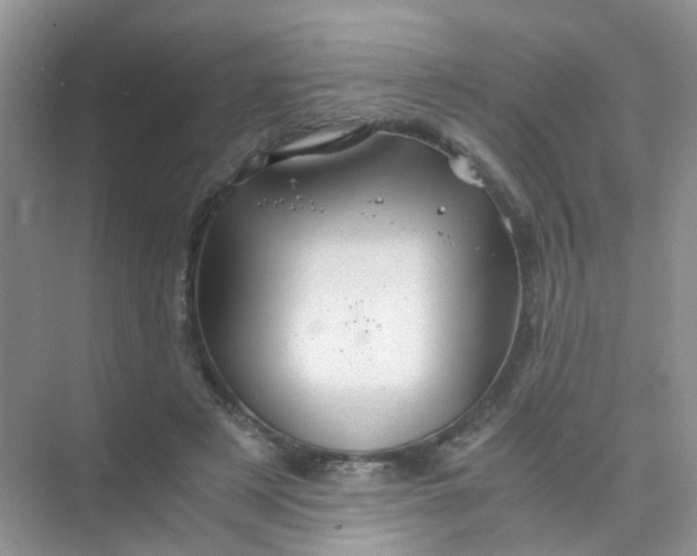 X0000075920497200609291828