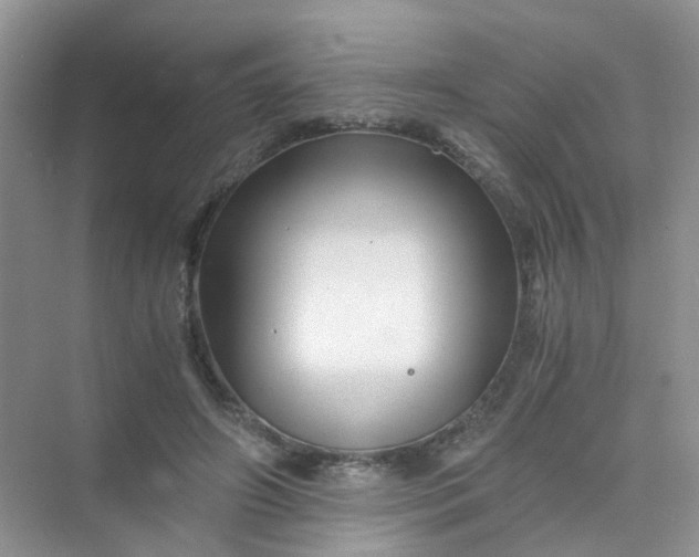 X0000075920498200609291828