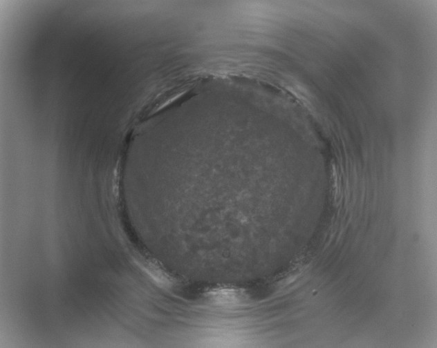 X0000075920499200609291828