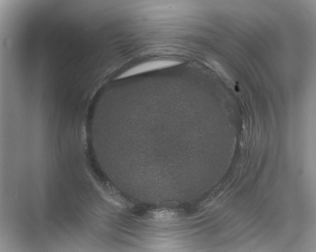 X0000075920500200609291828