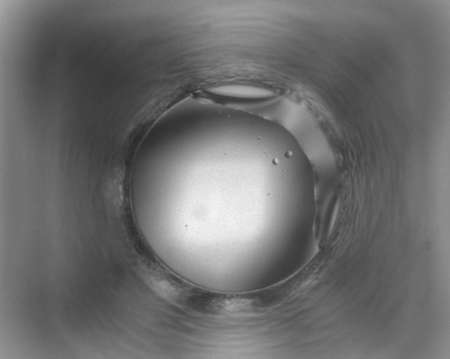 X0000075920501200609291828