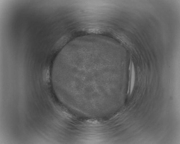 X0000075920502200609291828