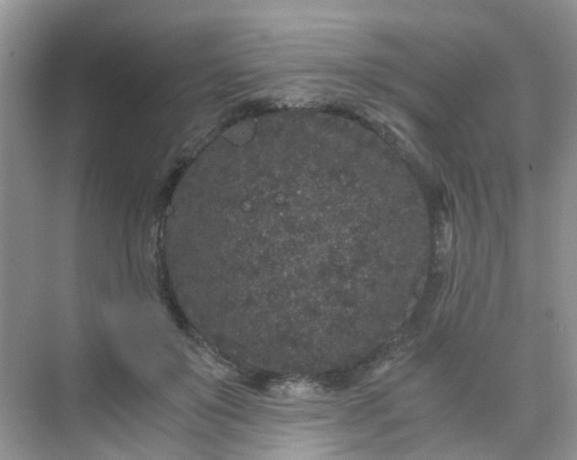 X0000075920503200609291828