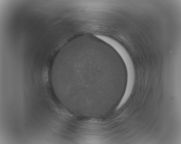 X0000075920504200609291828