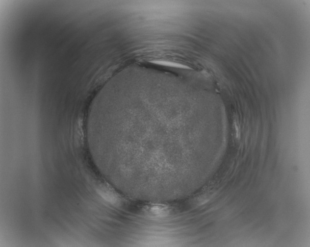 X0000075920506200609291828