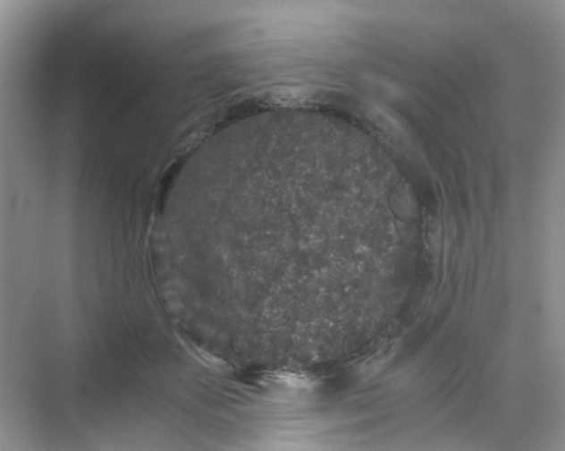 X0000075920507200609291828