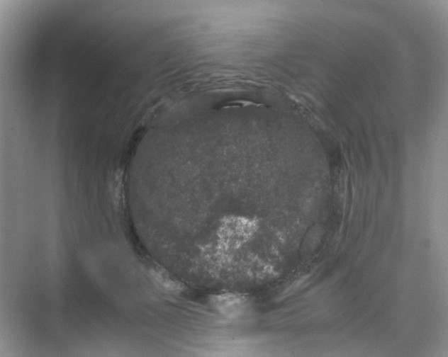 X0000075920511200609291828