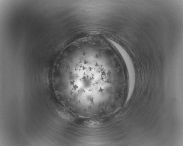 X0000075920512200609291828