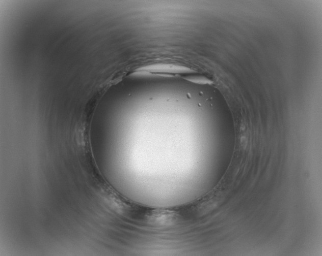 X0000075920514200609291828