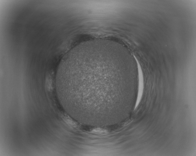 X0000075920515200609291828