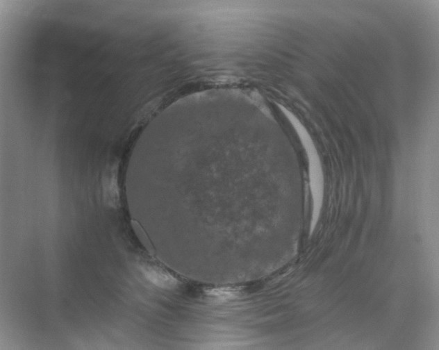 X0000075920516200609291828