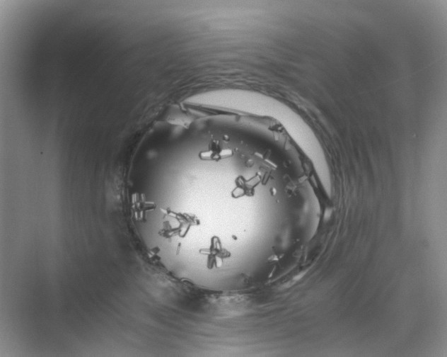 X0000075920517200609291828