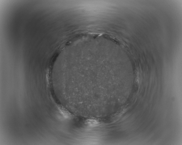 X0000075920519200609291828