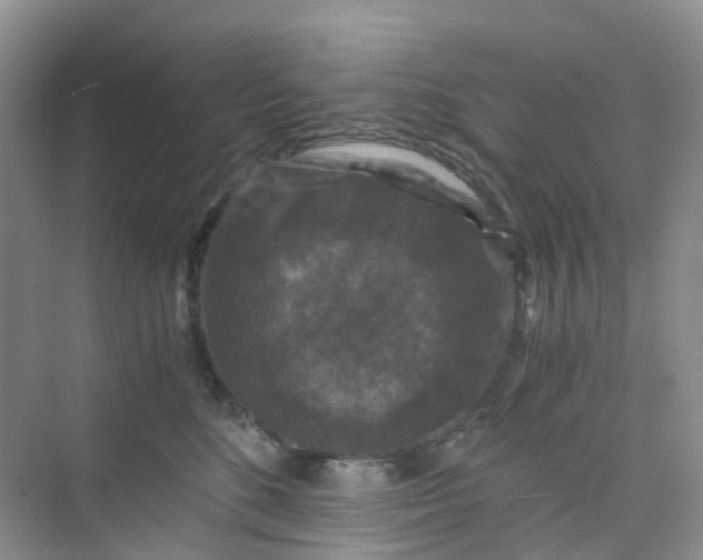 X0000075920520200609291828