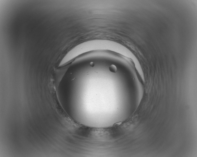 X0000075920521200609291828