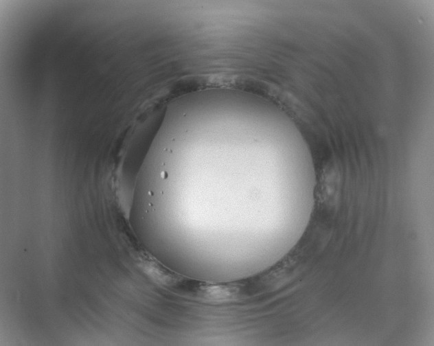 X0000075920522200609291828