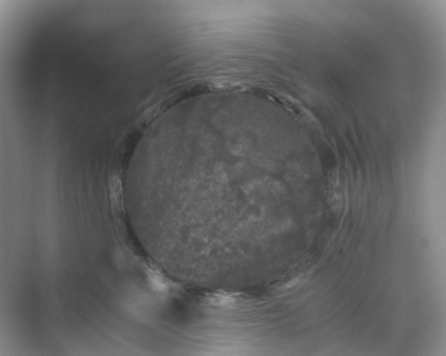 X0000075920523200609291828