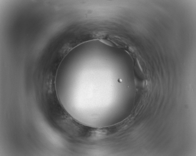 X0000075920525200609291828