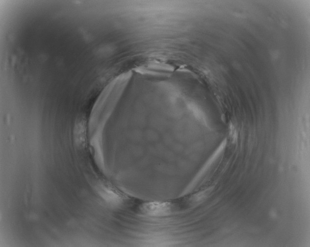 X0000075920526200609291828