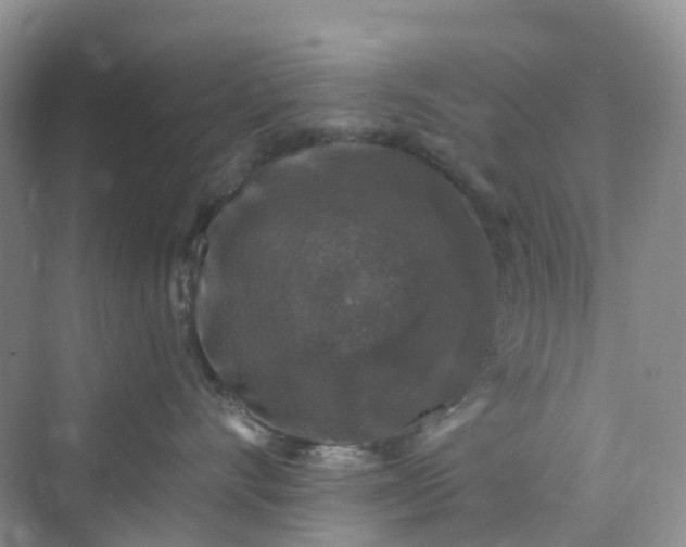 X0000075920528200609291828