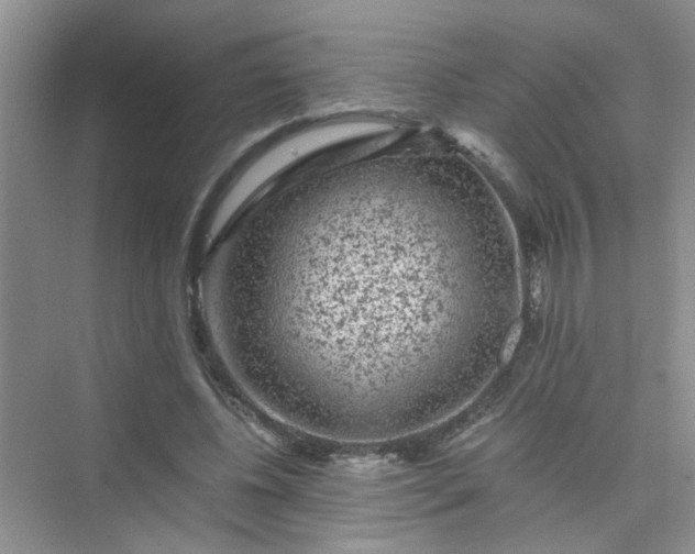 X0000075920540200609291827