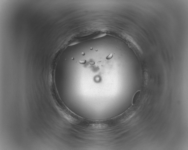 X0000075920541200609291827