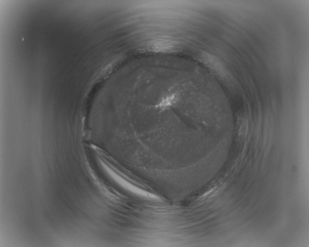 X0000075920542200609291827