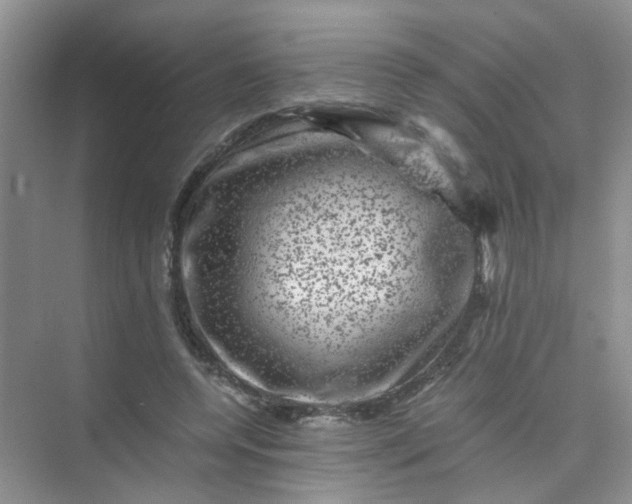 X0000075920544200609291827