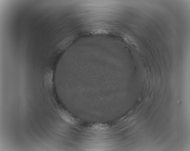 X0000075920550200609291827